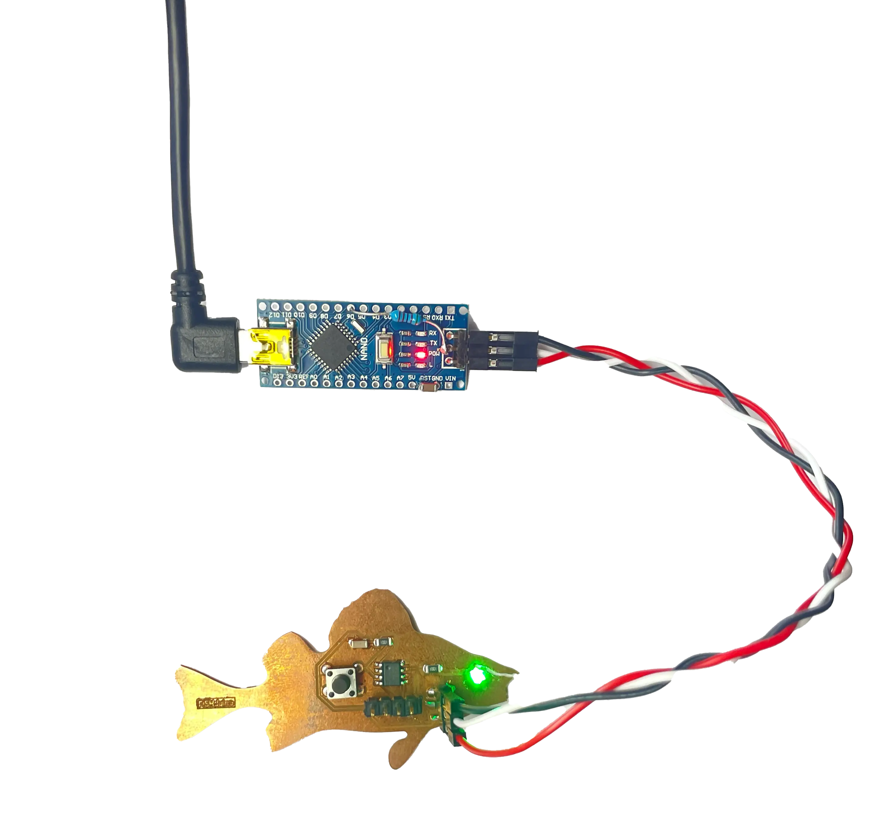 Main Image for Week 6