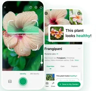 Plant Identification App